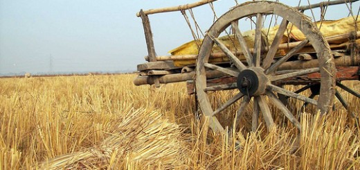 agricultureInindia