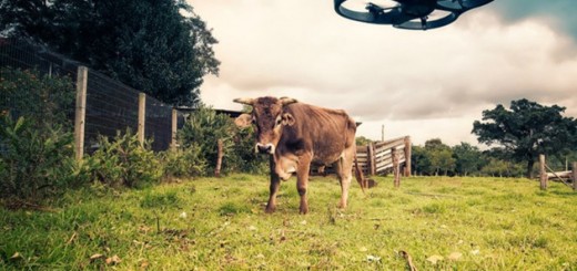 Agricultura-630x450