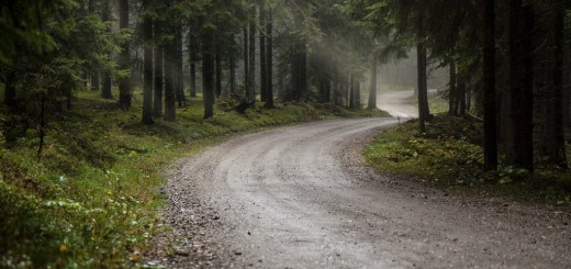 forest_road_in_the_rain__2_by_mark_heather-d67e0bn